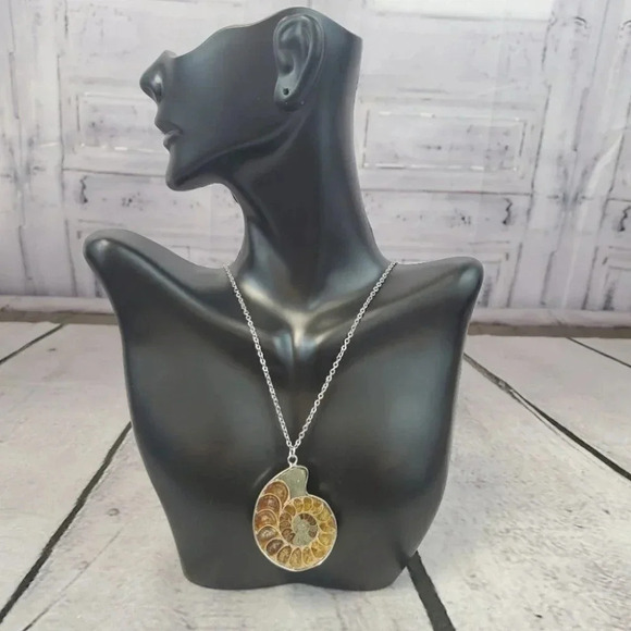 Ammonite Fossil Shell with Silver Plating - Picture 9 of 15